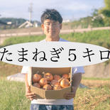 【ジュワッ玉】2480円→1980円！ゴチレポ投稿で ５キロ 果物や野菜などのお取り寄せ宅配食材通販産地直送アウル