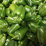 物価高騰に一役！規格外　赤味かかったピーマンS〜2L 4Kg 果物や野菜などのお取り寄せ宅配食材通販産地直送アウル