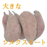 とっても甘い無農薬の 大きい シルクスイート 10kg 果物や野菜などのお取り寄せ宅配食材通販産地直送アウル