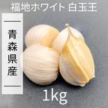 にんにく 【青森県産】福地ホワイト六片 産直野菜 1kg(箱込み) 果物や野菜などのお取り寄せ宅配食材通販産地直送アウル