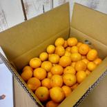 石地温州！小玉ちゃん！5キロ箱 4.5キロ 果物や野菜などのお取り寄せ宅配食材通販産地直送アウル