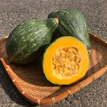 かぼちゃ『ロロン』 約4kg（3~4個） 果物や野菜などのお取り寄せ宅配食材通販産地直送アウル