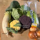送料込み！！淡路島産旬セット （沖縄・北海道・離島地区以外） 野菜セット 果物や野菜などのお取り寄せ宅配食材通販産地直送アウル