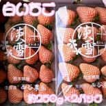 淡雪　白苺　約250g 2パック　合計約500g いちご　希少　高級苺 250g２パック 果物や野菜などのお取り寄せ宅配食材通販産地直送アウル