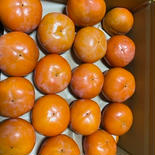 冷蔵でお届け‼️ 庭用　富有柿 7.5kg 30か〜35個入り 家庭用　富有柿 7.5kg 果物や野菜などのお取り寄せ宅配食材通販産地直送アウル