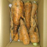 茨城産無農薬人参、ジュース用9kg 9kg 果物や野菜などのお取り寄せ宅配食材通販産地直送アウル