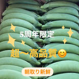 【5周年限定】✨超〜高品質スナップエンドウ✨ 1kg 100〜120本程度！ 果物や野菜などのお取り寄せ宅配食材通販産地直送アウル