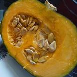 【夏ギフト】みやこ南瓜 2玉(1.5㎏を2玉) 果物や野菜などのお取り寄せ宅配食材通販産地直送アウル