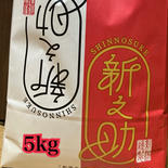 令和6年　新潟県産　新之助100% 白米5kg 果物や野菜などのお取り寄せ宅配食材通販産地直送アウル