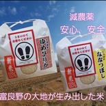【10組限定】越冬キャベツ&ゆめぴりか、ななつぼしセット各５キロ 10kg 果物や野菜などのお取り寄せ宅配食材通販産地直送アウル