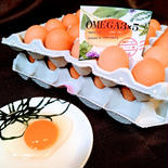 OMEGA3×5　えごまたまご75個入　冷蔵便 70個入＋破損保証5個。 果物や野菜などのお取り寄せ宅配食材通販産地直送アウル