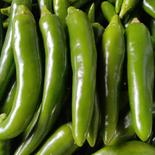 韓国青唐辛子 1kg 果物や野菜などのお取り寄せ宅配食材通販産地直送アウル