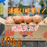 淡路島完熟玉ねぎ♪ 中生 10kg 10kg 果物や野菜などのお取り寄せ宅配食材通販産地直送アウル