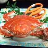 5月5日〜身がぎっしり内子入り竹崎カニ🦀 大2匹 果物や野菜などのお取り寄せ宅配食材通販産地直送アウル