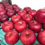 贈答用　陽光 3kg 3kg (8〜11個入) 果物や野菜などのお取り寄せ宅配食材通販産地直送アウル