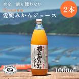 【水を一滴も使わない】愛媛みかん100％ストレートジュース（1000ml×2本） みかんジュース 1000×2本 果物や野菜などのお取り寄せ宅配食材通販産地直送アウル