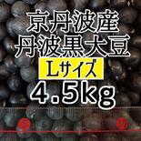 丹波黒大豆 4.5kg  Lサイズ 京丹波産 令和5年産 新豆 4.5kg(300g×15袋)Ｌサイズ 果物や野菜などのお取り寄せ宅配食材通販産地直送アウル