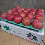 長野県 五輪久保産 ふじ  5kg贈答品20玉 5kg 果物や野菜などのお取り寄せ宅配食材通販産地直送アウル