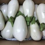 白トロなす4ｋｇ★パチャママ農園　白なす 白ナス4ｋｇ 果物や野菜などのお取り寄せ宅配食材通販産地直送アウル