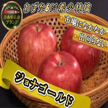 【5周年限定】🍎わずか6％希少林檎ジョナゴールド🍎市場になかなか出回らない人気りんご～品種指定探しキャンペーンお試し特価～🍎冬ギフト🍎 ジョナゴールド5～6個 果物や野菜などのお取り寄せ宅配食材通販産地直送アウル