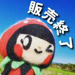 【クール便】二箱 大粒いろいろなサイズ 『モカベリー』 完熟いちご 苺 果物　※ご注文1～4日以内に発送 1300g 🍓3600 果物や野菜などのお取り寄せ宅配食材通販産地直送アウル