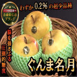 🍎脳を揺さぶる圧倒的糖度ぐんま名月🍎わずか0.2%市場でまず見つける事の出来ない超希少林檎～品種指定キャンペーンお得な大容量パッケージ～🍎冬ギフト🍎【アウルの日】 ぐんま名月10～12個 果物や野菜などのお取り寄せ宅配食材通販産地直送アウル