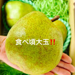 食べ頃出荷‼️山形特産ラフランス【大玉2キロ満杯詰】 2キロ 果物や野菜などのお取り寄せ宅配食材通販産地直送アウル