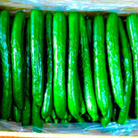 【１０ｋパリきゅう！】 １０キロ 果物や野菜などのお取り寄せ宅配食材通販産地直送アウル