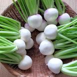 【まずはお試し】３種食べ比べセット2kg 2kg 果物や野菜などのお取り寄せ宅配食材通販産地直送アウル