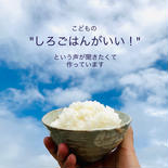 令和3年度産　淡路島新米コシヒカリ10㎏　(5㎏×2) 10㎏　(5㎏×2) 果物や野菜などのお取り寄せ宅配食材通販産地直送アウル