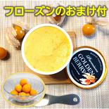 【フローズンおまけ付😆】 果実の美味しさを味わえるゴールデンベリープレミアムアイス6個セット ﾌﾟﾚﾐｱﾑ6個入り（おまけ付） 果物や野菜などのお取り寄せ宅配食材通販産地直送アウル
