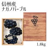 大玉ナガノパープル３〜４房（約１８００g） 約1.8kg 果物や野菜などのお取り寄せ宅配食材通販産地直送アウル
