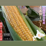 北海道富良野産 イエローコーンL〜2L 10本入 イエローコーンL〜2L 10本入　 果物や野菜などのお取り寄せ宅配食材通販産地直送アウル