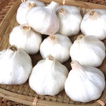 熊本マイルドにんにくL玉5個 L玉(直径6〜7cm)5個　300〜400g程 果物や野菜などのお取り寄せ宅配食材通販産地直送アウル