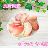 なつっこ４～６玉　ギフトボックス　【2025年先行予約】 ４～6玉 果物や野菜などのお取り寄せ宅配食材通販産地直送アウル
