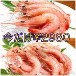 【夏の福袋】とろ～り、エビ三昧！サイズ違いで食べ比べ トロえび大&中小セット トロえび大1・トロえび中小1 果物や野菜などのお取り寄せ宅配食材通販産地直送アウル