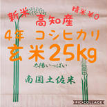 高知県産 令和4年産 コシヒカリ玄米25㎏(袋込み) 25㎏ 果物や野菜などのお取り寄せ宅配食材通販産地直送アウル