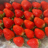 5月のきらきら🍓ほのかちゃん正味600g×3箱 正味600g×3箱 果物や野菜などのお取り寄せ宅配食材通販産地直送アウル