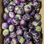 ナス2箱梱包 4kg 果物や野菜などのお取り寄せ宅配食材通販産地直送アウル