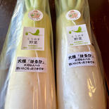 【厳冬期糖度UP】大根はるか4本6kg 農薬・化学肥料不使用 4本 約6kg 果物や野菜などのお取り寄せ宅配食材通販産地直送アウル