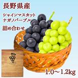 シャインマスカット　ナガノパープル　２種詰め合わせ（約１２００g） 約1.2kg 果物や野菜などのお取り寄せ宅配食材通販産地直送アウル