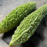 今が旬！朝採れたて！太さが違う！鹿児島県産！栄養価の高いゴーヤの3kg ゴーヤ3kg 8本から12本 果物や野菜などのお取り寄せ宅配食材通販産地直送アウル