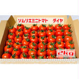【塩トマトのようなフルーツトマト】ソムリエミニトマト　ダイヤ２kg 2kg 果物や野菜などのお取り寄せ宅配食材通販産地直送アウル