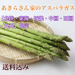 【北陸・東海・近畿・中国・四国・九州】限定　あきらさん家のアスパラガス　春芽 1kg  果物や野菜などのお取り寄せ宅配食材通販産地直送アウル