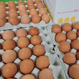 こだわりの前ちゃん家のたまご 40玉 40玉 果物や野菜などのお取り寄せ宅配食材通販産地直送アウル