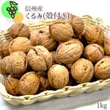 【信州長野県産】※2025年先行予約※　くるみ(殻付き)1kg　11月より発送開始 1kg 果物や野菜などのお取り寄せ宅配食材通販産地直送アウル