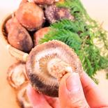 【寒さが育む】 肉厚原木生しいたけ（Ａ品）700g 700g 果物や野菜などのお取り寄せ宅配食材通販産地直送アウル