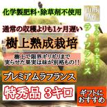 《希少な洋梨》樹上熟成プレミアム"特秀"ラフランス【ギフトにオススメ】 特秀Lサイズ以上　3キロ 果物や野菜などのお取り寄せ宅配食材通販産地直送アウル