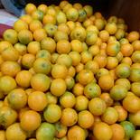バレンシアオレンジ【サイズ混合】3kg(箱込) 3kg(箱込) 果物や野菜などのお取り寄せ宅配食材通販産地直送アウル