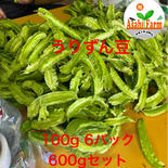 沖縄県産　四角豆　600g うりずん豆 600 果物や野菜などのお取り寄せ宅配食材通販産地直送アウル